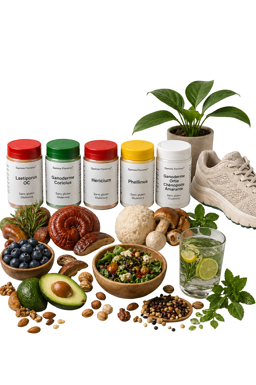 Naturopathie de base scientifique