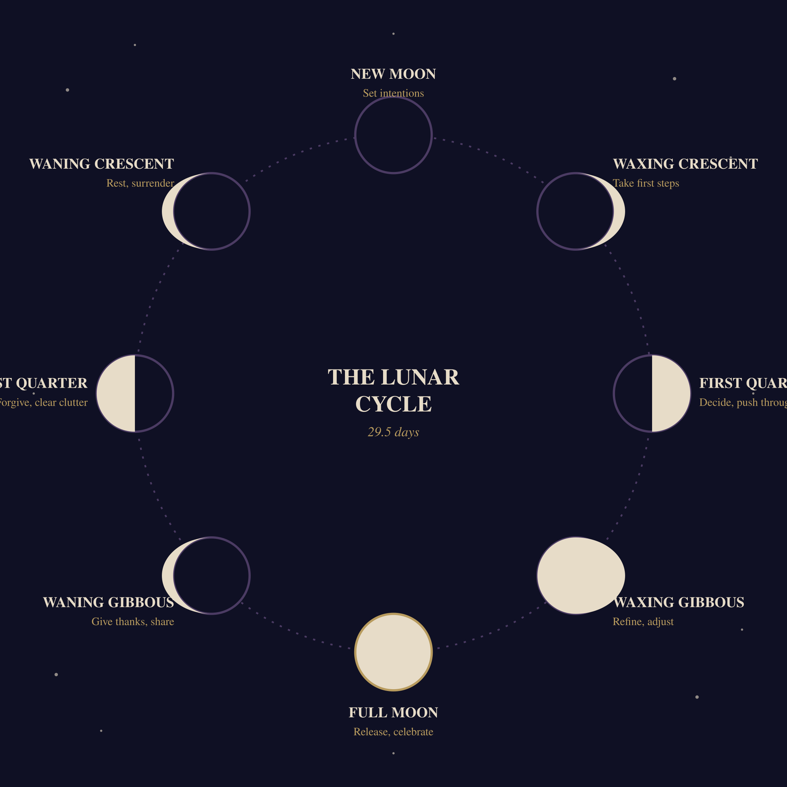 Circular lunar cycle diagram showing all eight moon phases with a keyword theme for each: New Moon (set intentions), Waxing Crescent (take first steps), First Quarter (decide, push through), Waxing Gibbous (refine, adjust), Full Moon (release, celebrate), Waning Gibbous (give thanks, share), Last Quarter (forgive, clear clutter), Waning Crescent (rest, surrender)