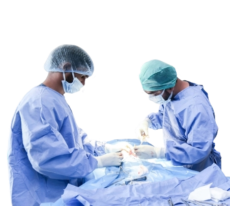 Veterinary surgeons performing a complex procedure