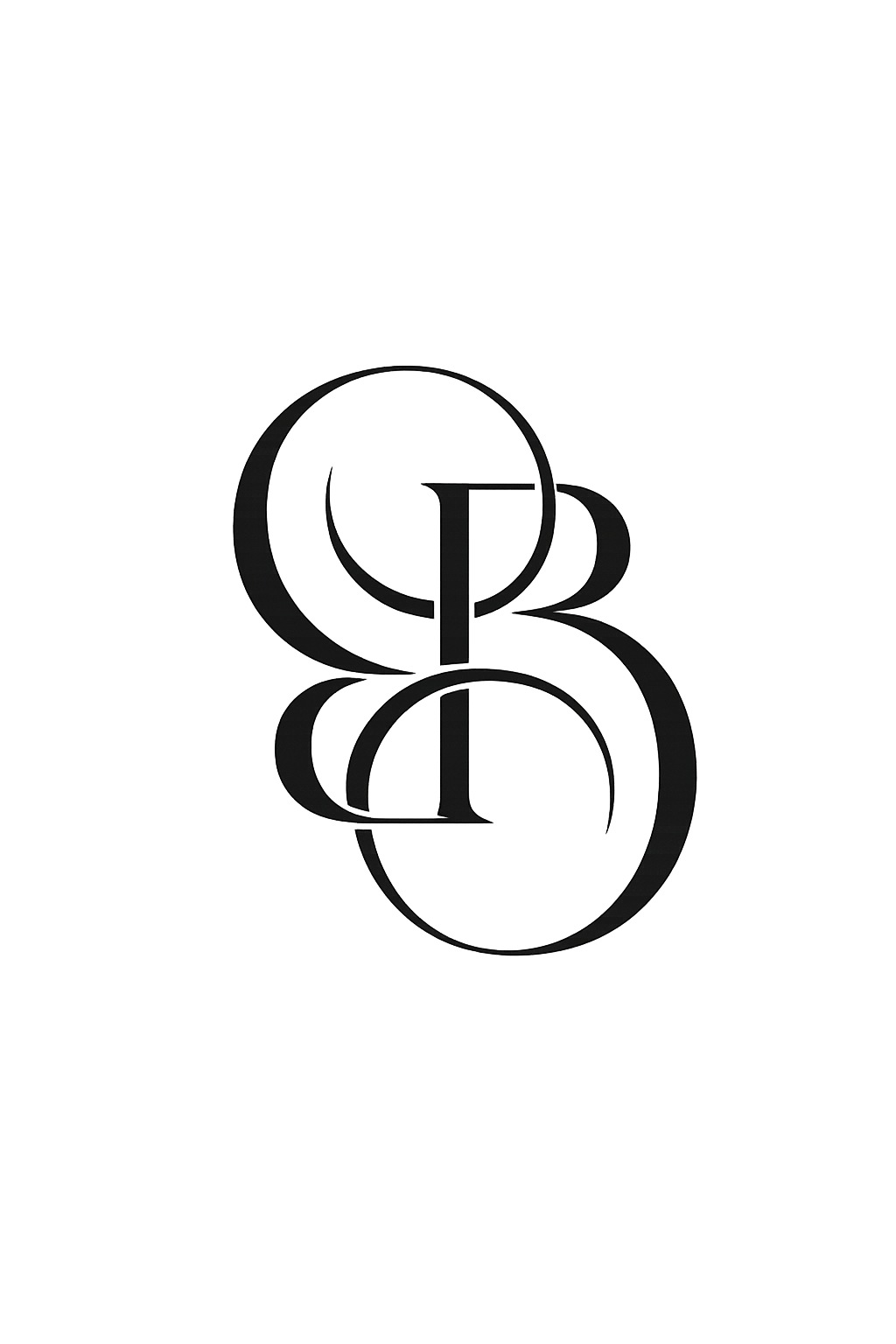 Brigitta Hajszalon Logo