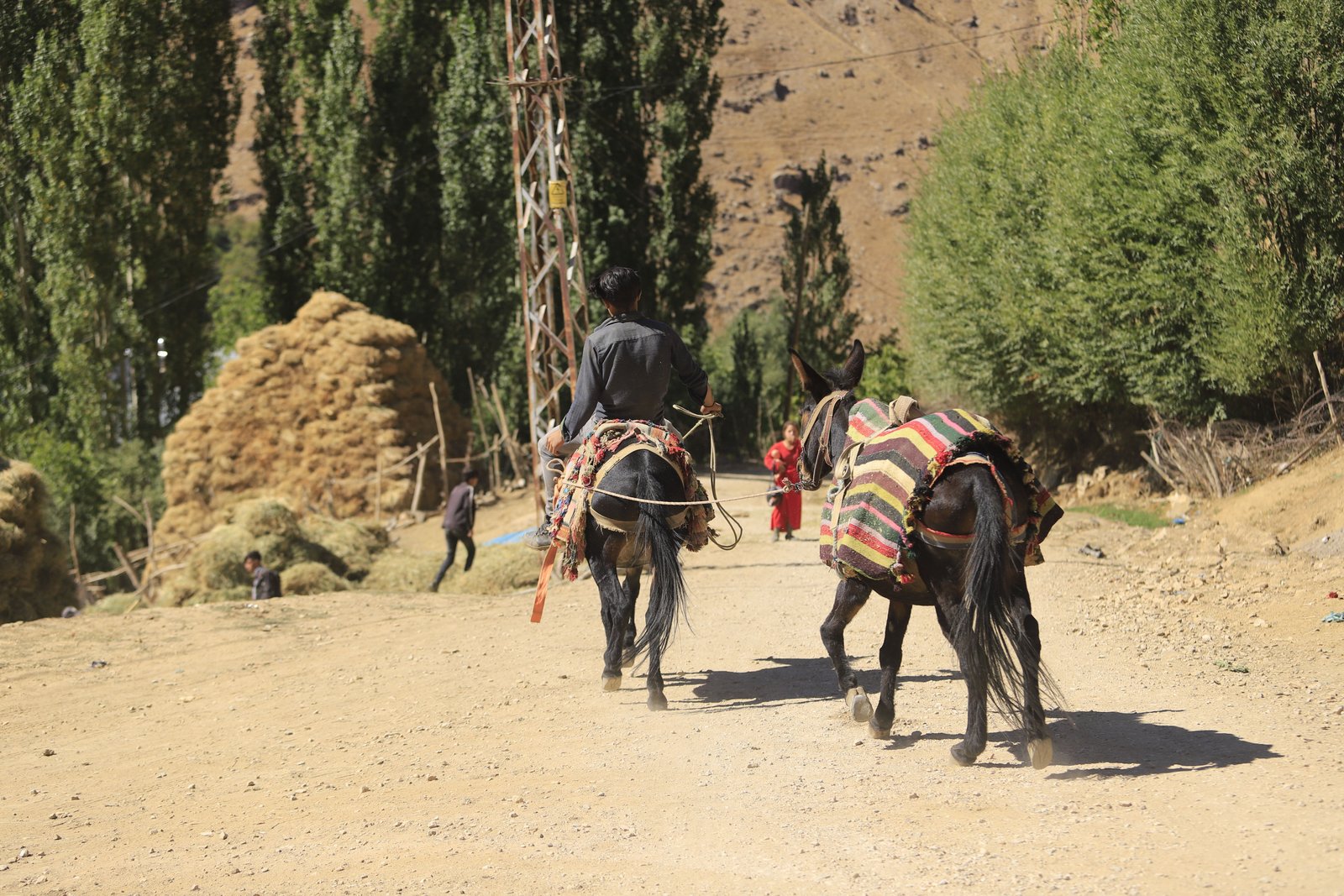 ISK Summit Day Hike from Marrakech — Imlil