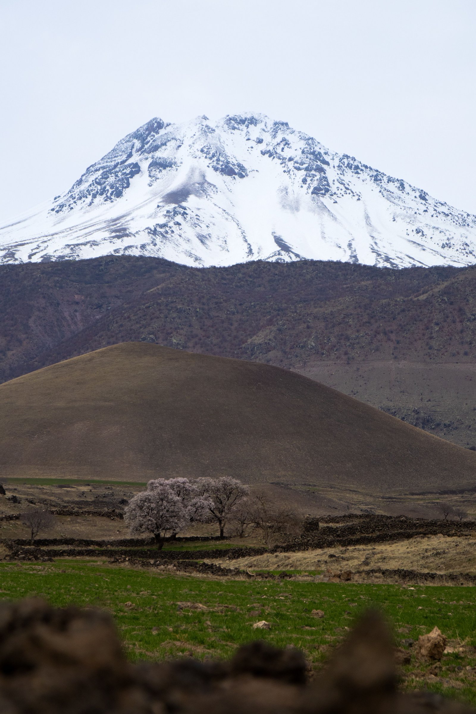The Complete Guide to M’Goun Valley Trek