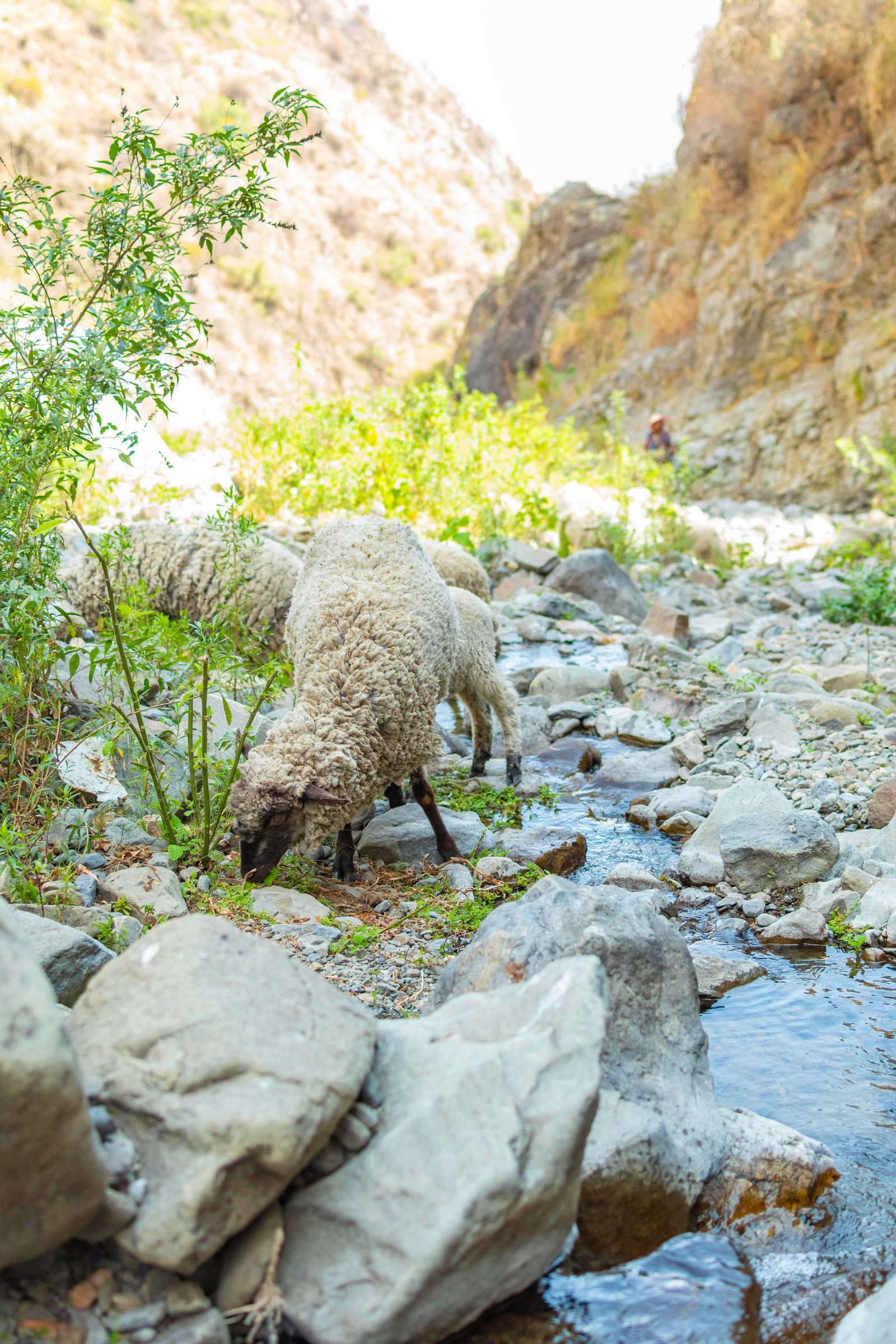 Ruta de cumbre ISK desde Marrakech — Imlil