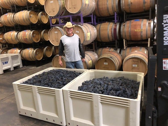 Gagnon Cellars vineyard and winemaking