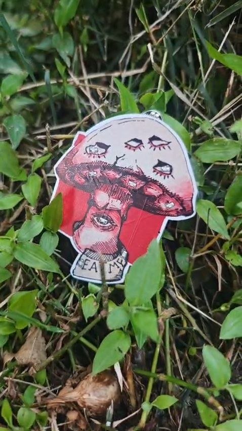 Mushroom SAO: la pieza EAT ME sobre follaje verde, hongo de sombrero rojo con ojos