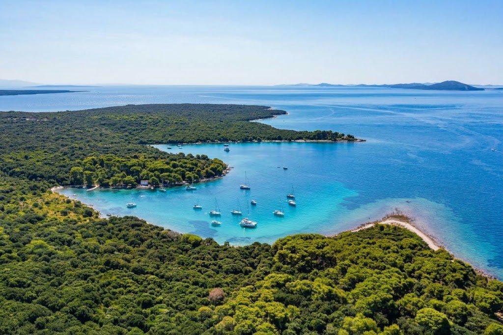 A sheltered bay and pine-covered island on a full-day exploration