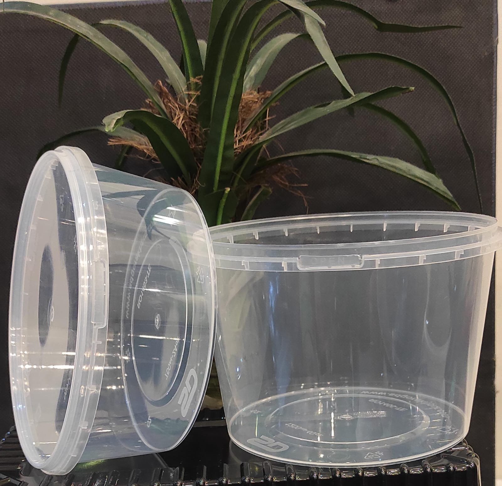 Microwave-Safe Round Curry Tub