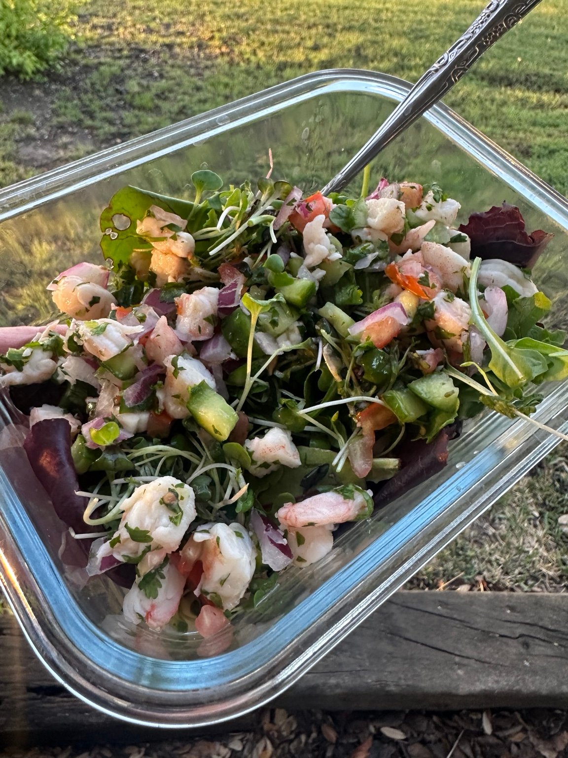 A glass container of shrimp, greens, and chopped vegetables