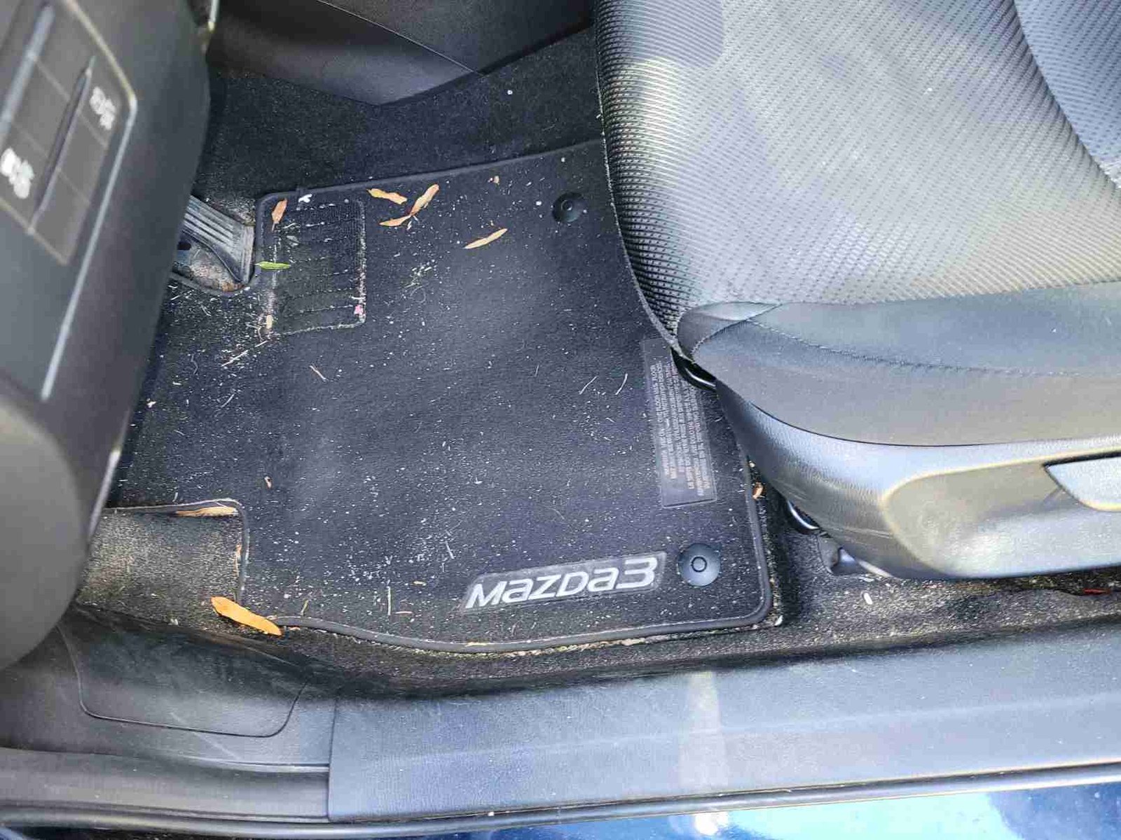 Before Door Panel & Switch Cleaning