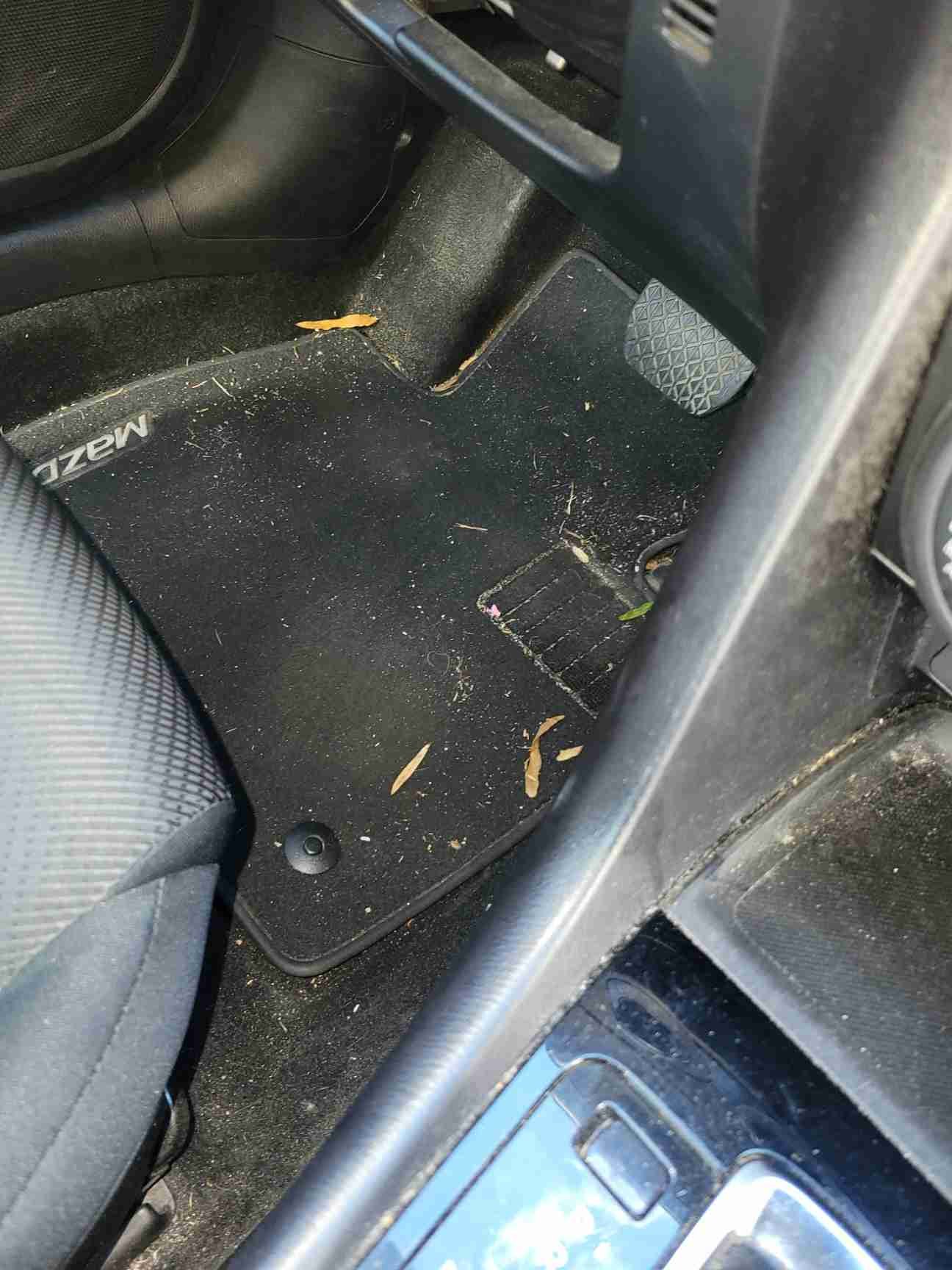 After Interior Carpet Restoration