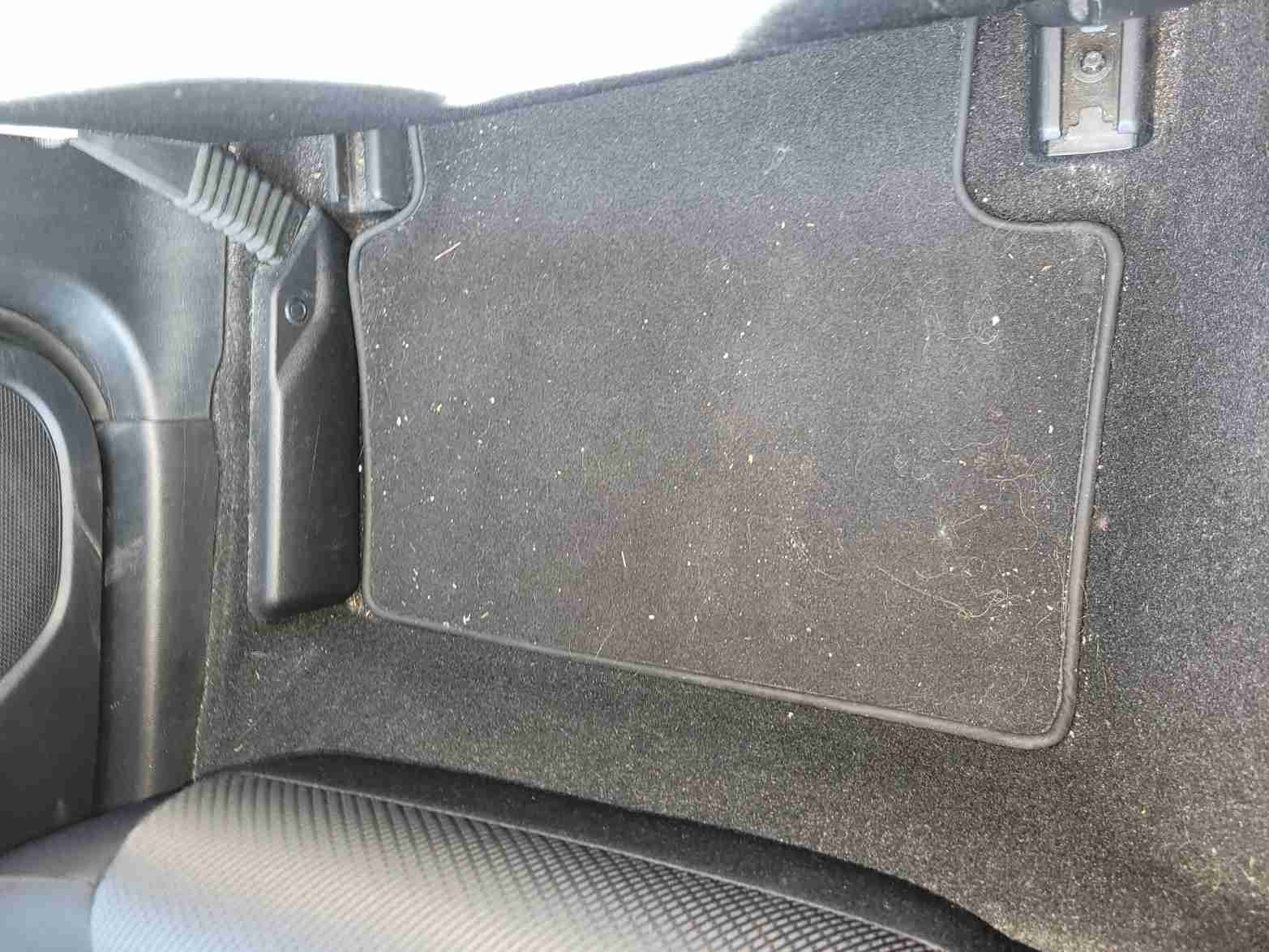 Before Floor Mat Deep Clean