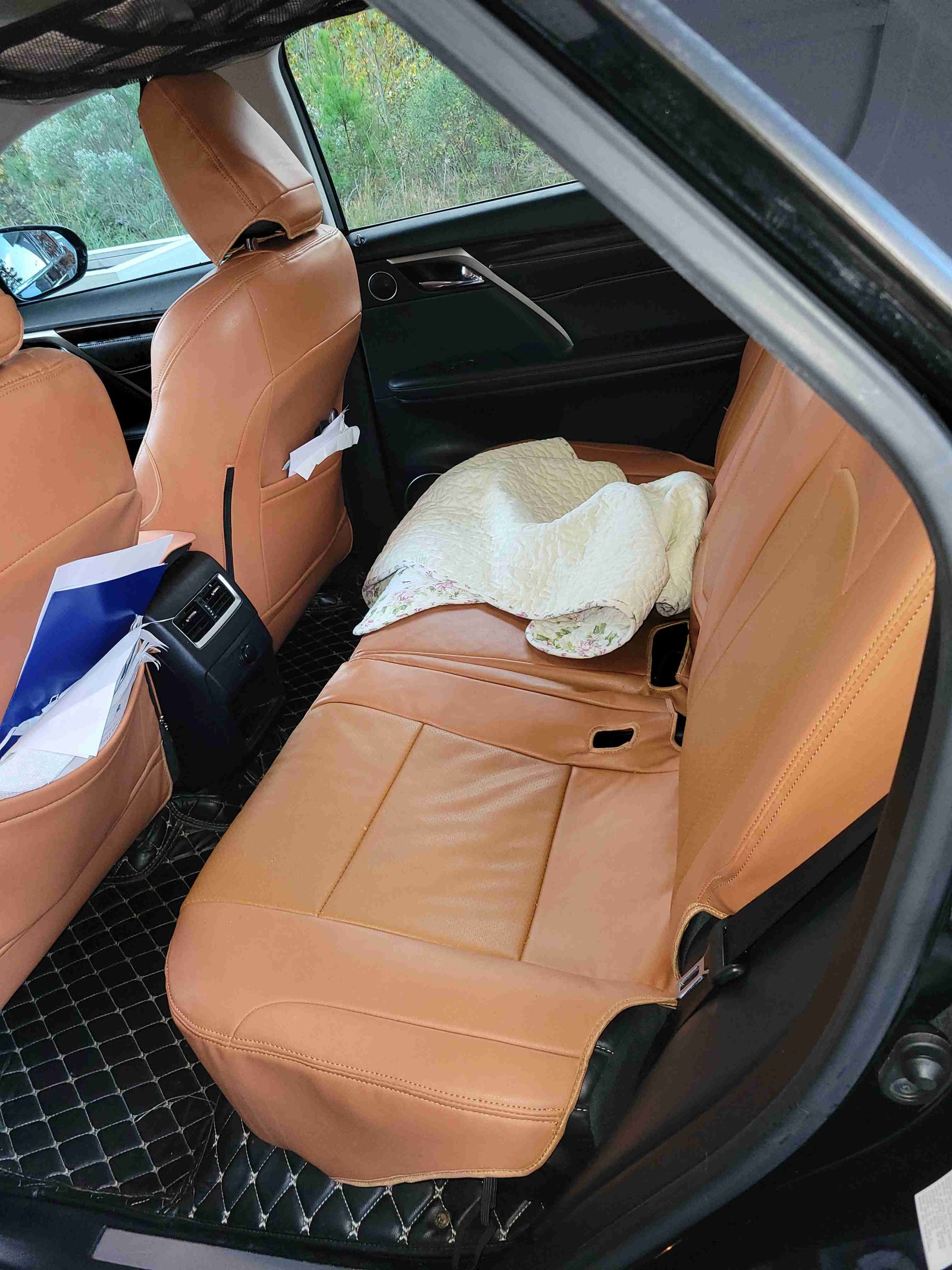 Interior shot of a car with custom floor mats