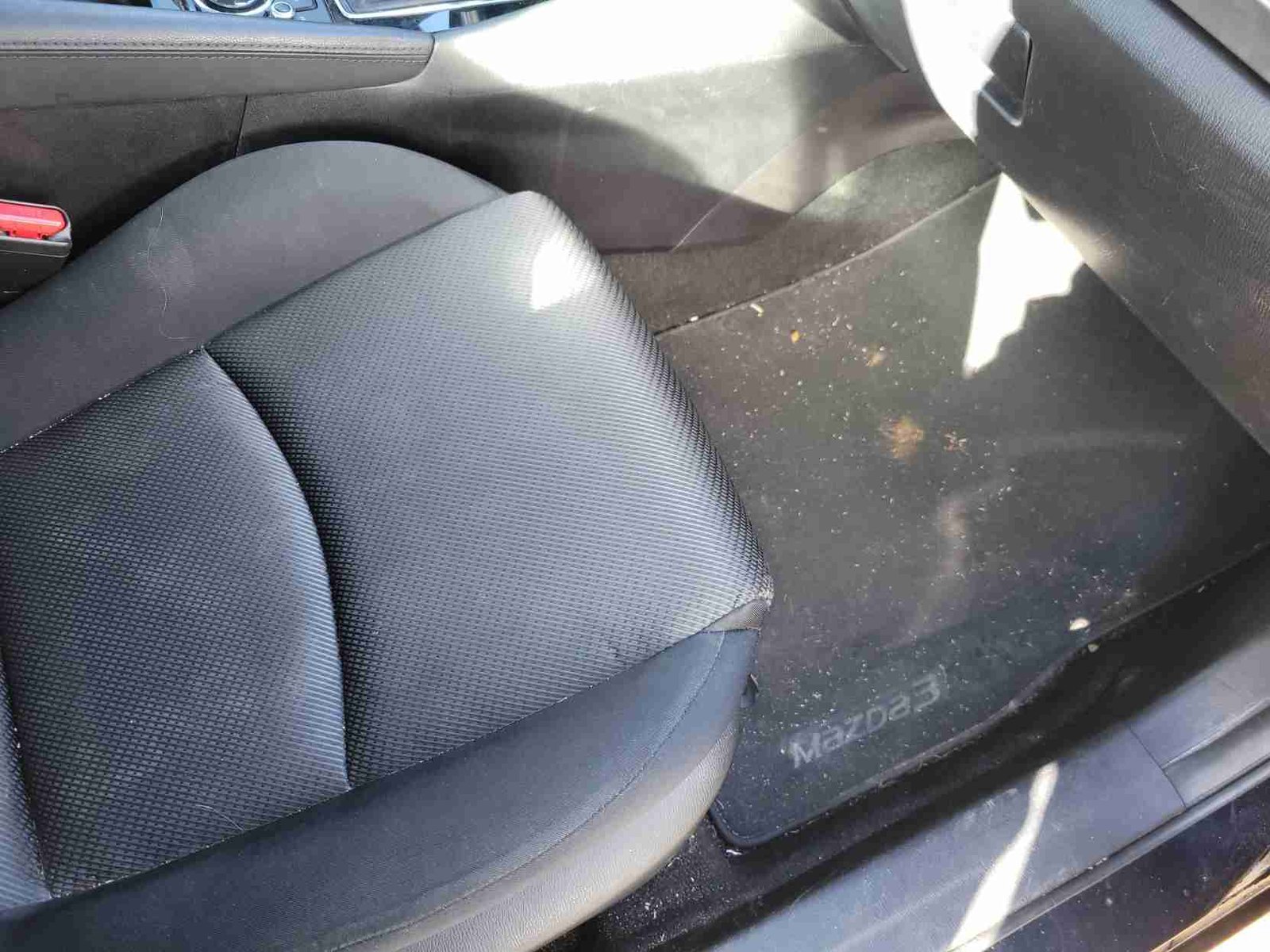 Before Foam Cannon Treatment