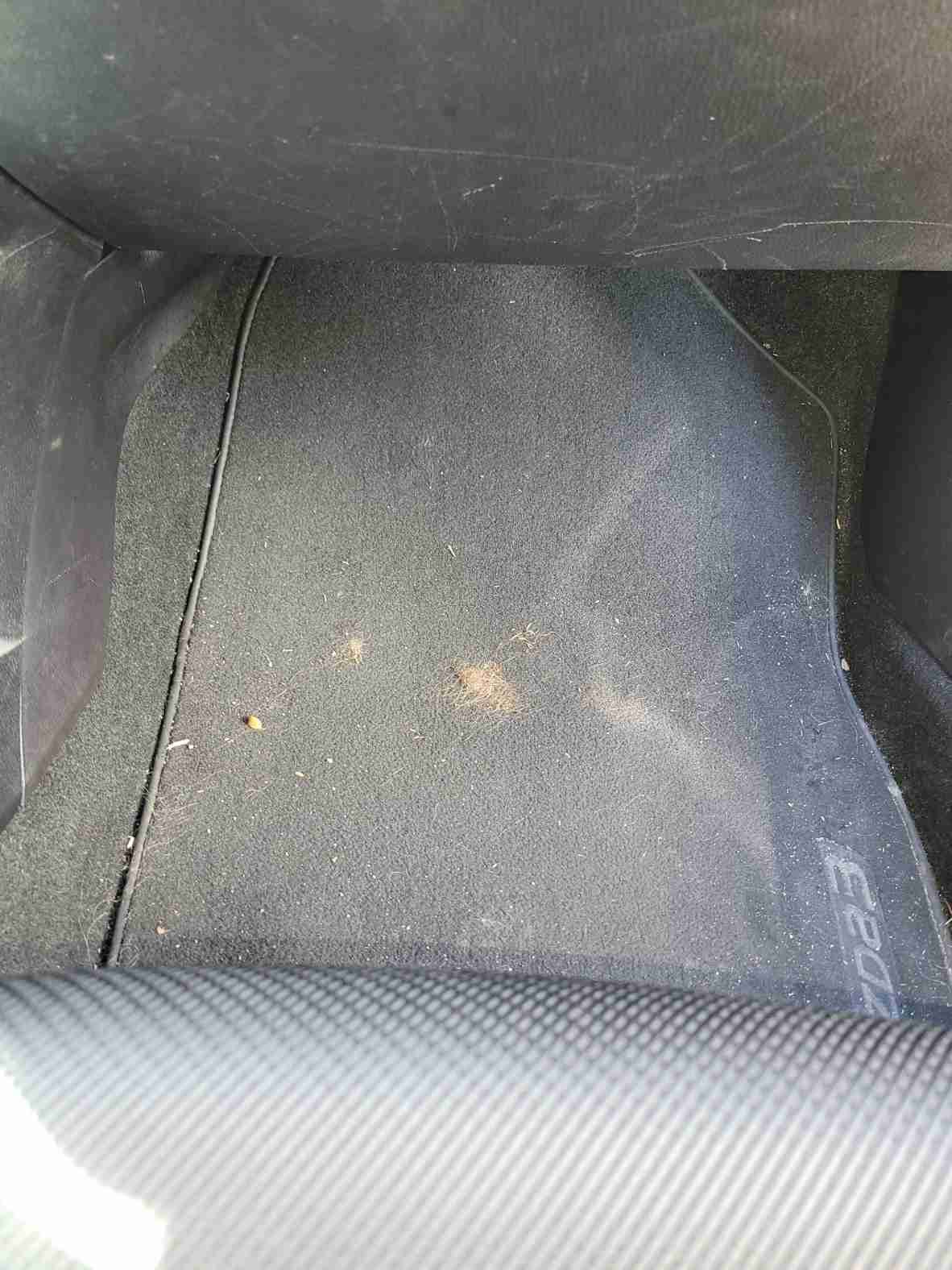 Before Interior Carpet Restoration