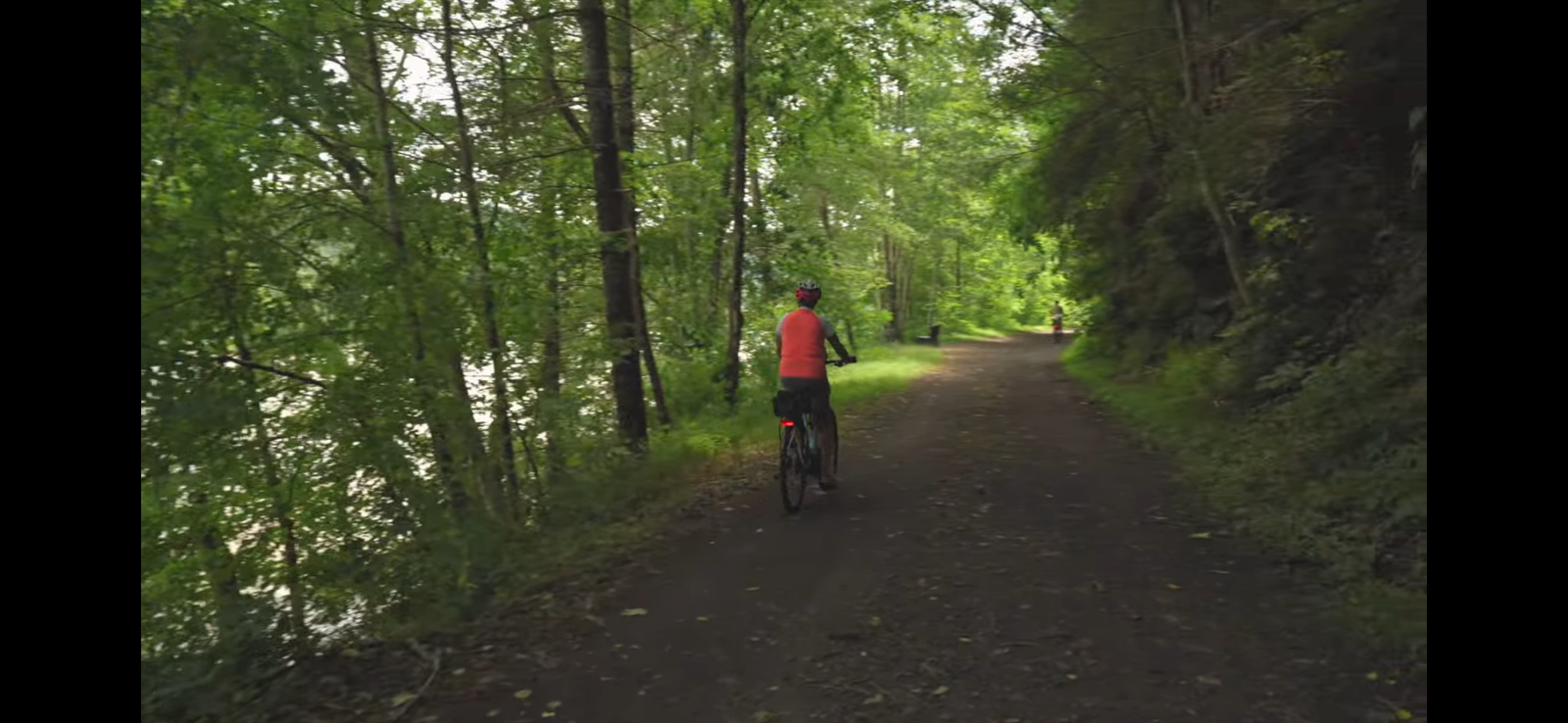 Abandoned railroad tracks leading into a dense green forest, representing the rails-to-trails conversion of New River Trail