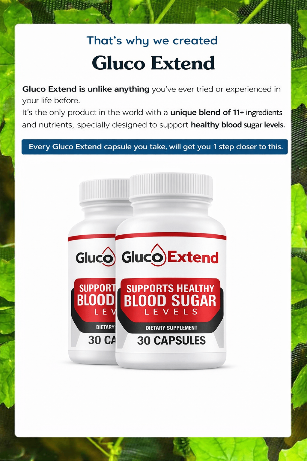 Nutra Gluco Extend Product Features
