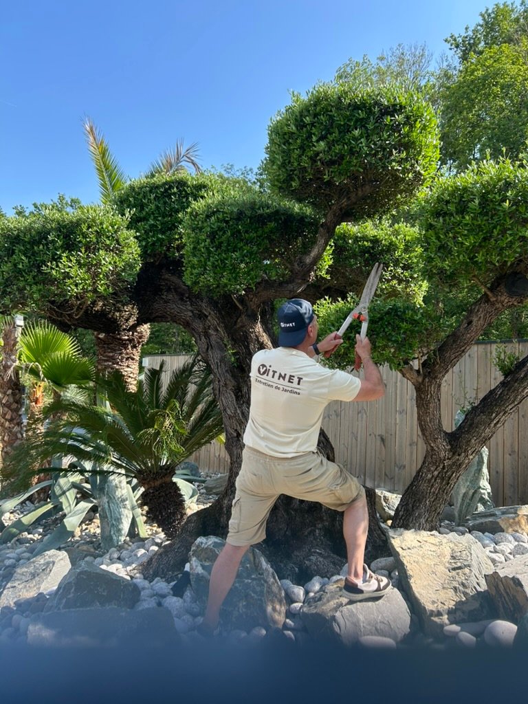 Entretien professionnel de jardin et taille d'arbres à Bordeaux par VITNET