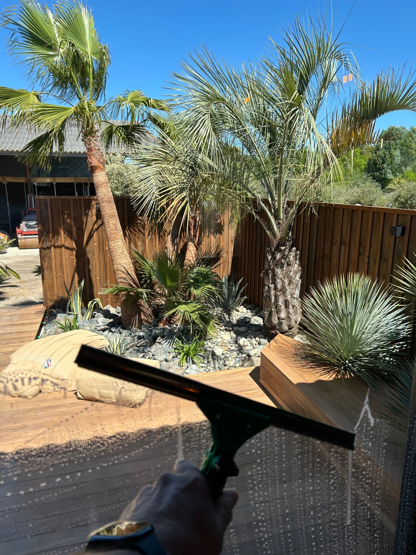 Jardin paysager avec palmiers, terrasse en bois et ciel bleu