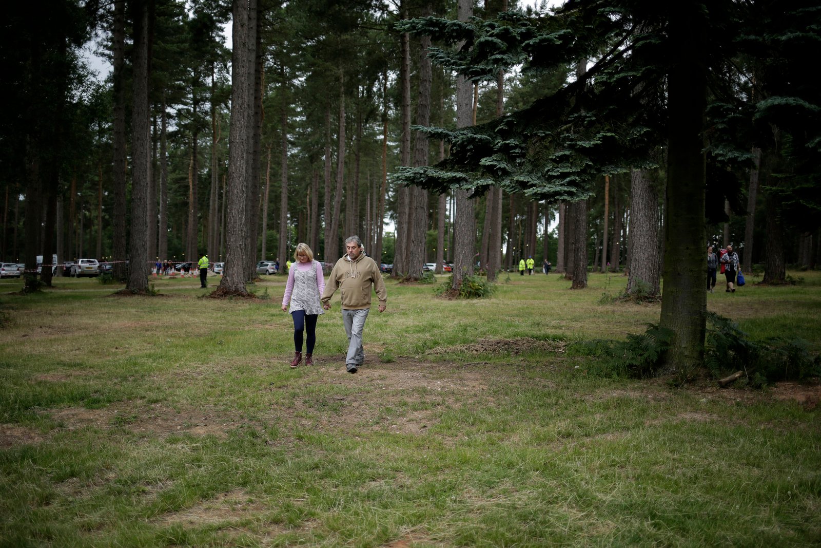 Forest Live concert documentary photography for Forestry England by Doug Marke — image 9 of 26