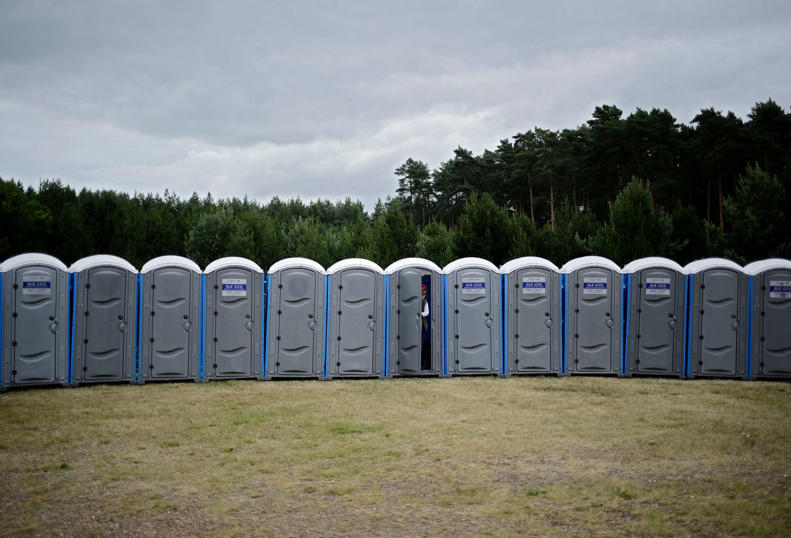 Forest Live concert documentary photography for Forestry England by Doug Marke — image 6 of 26