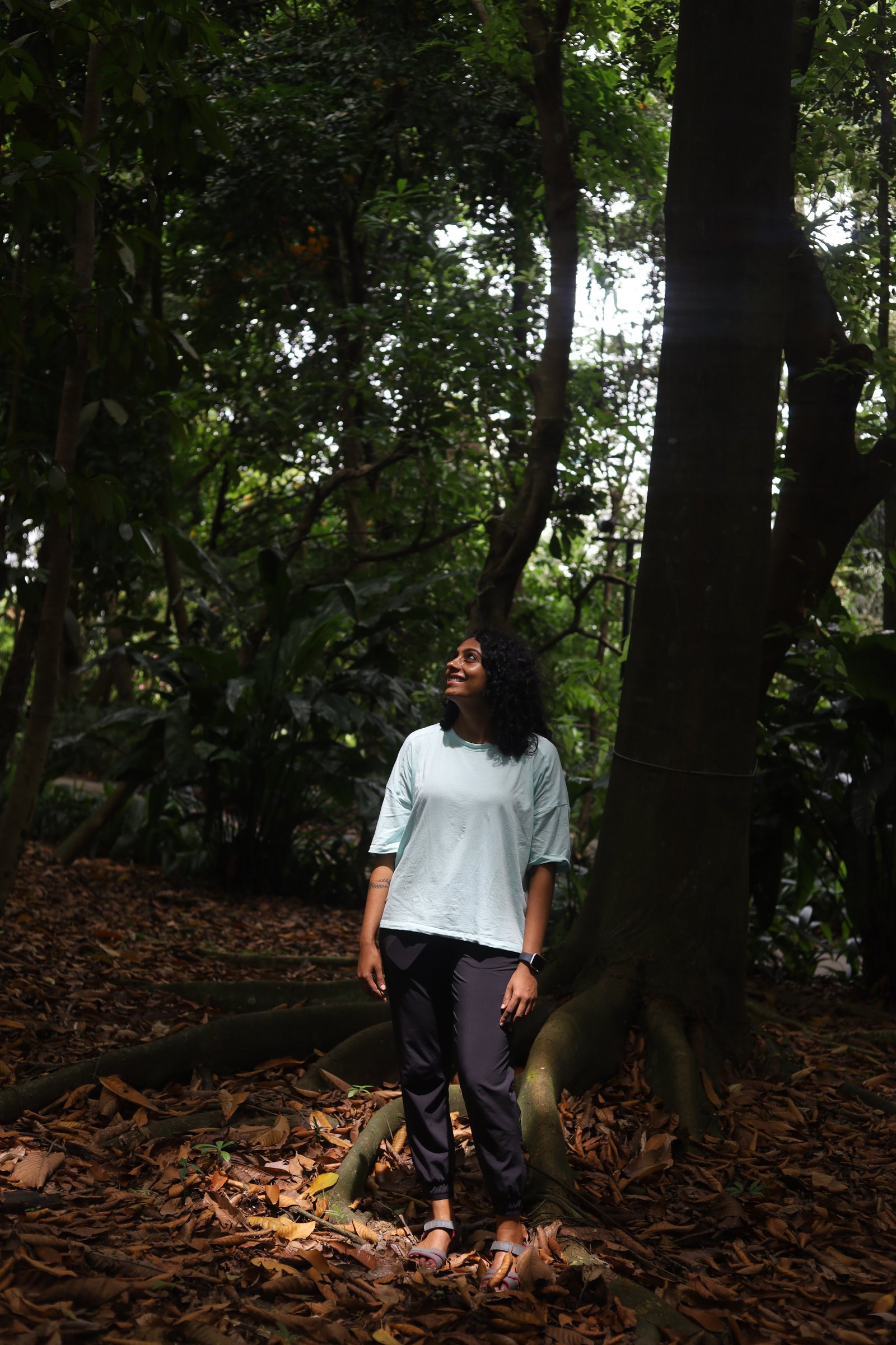 Forest Flow Wellbeing