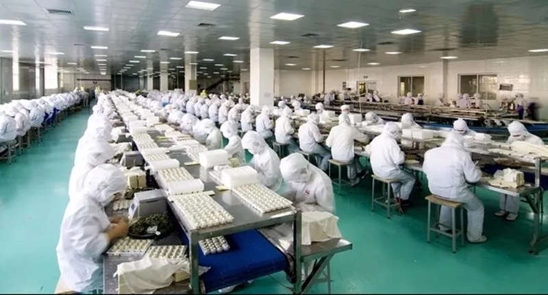Large-Scale Food Processing Workforce and Downtime Cost Large food processing workshop workforce affected by factory power downtime