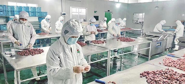 Food Processing Production Line and Transformer Reliability Risk Food processing production line workers showing quality risk from power interruption