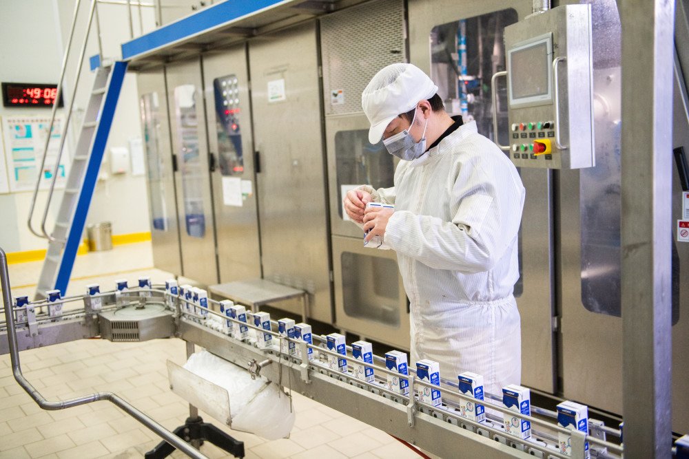 Dairy Processing Line and Refrigeration Load Transformer Planning Dairy processing and packaging line requiring stable transformer power and refrigeration load planning