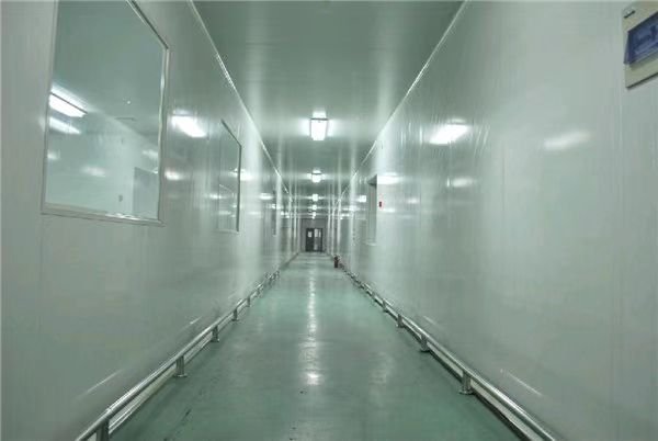 Indoor Transformer Restrictions in Pharmaceutical Cleanroom Facilities Pharmaceutical cleanroom corridor explaining indoor oil-immersed transformer restrictions