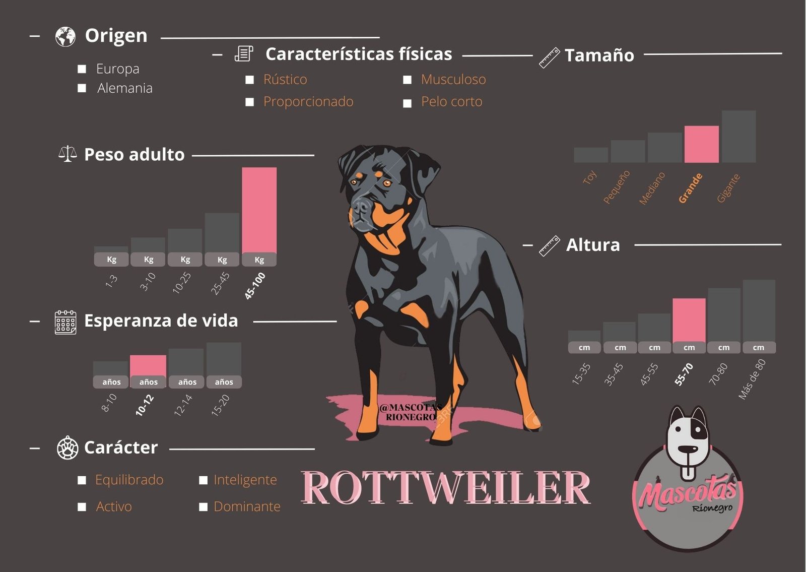 Rottweiler