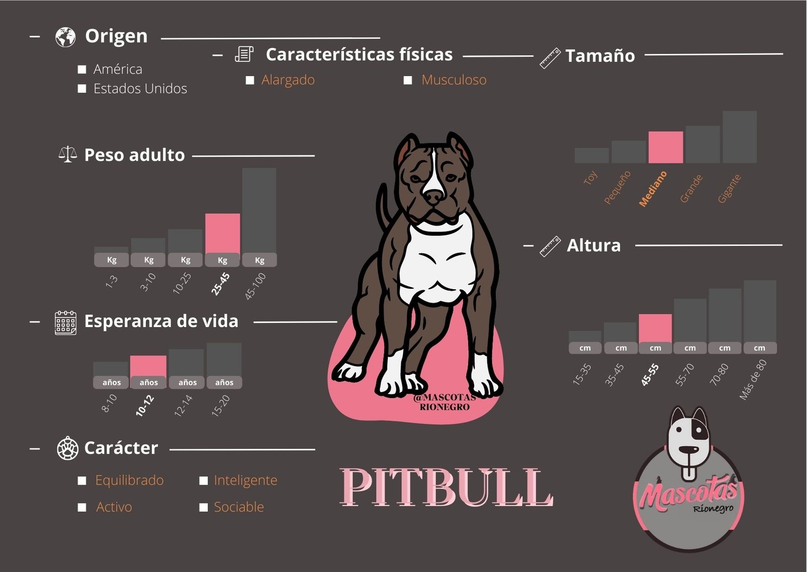 Pitbull