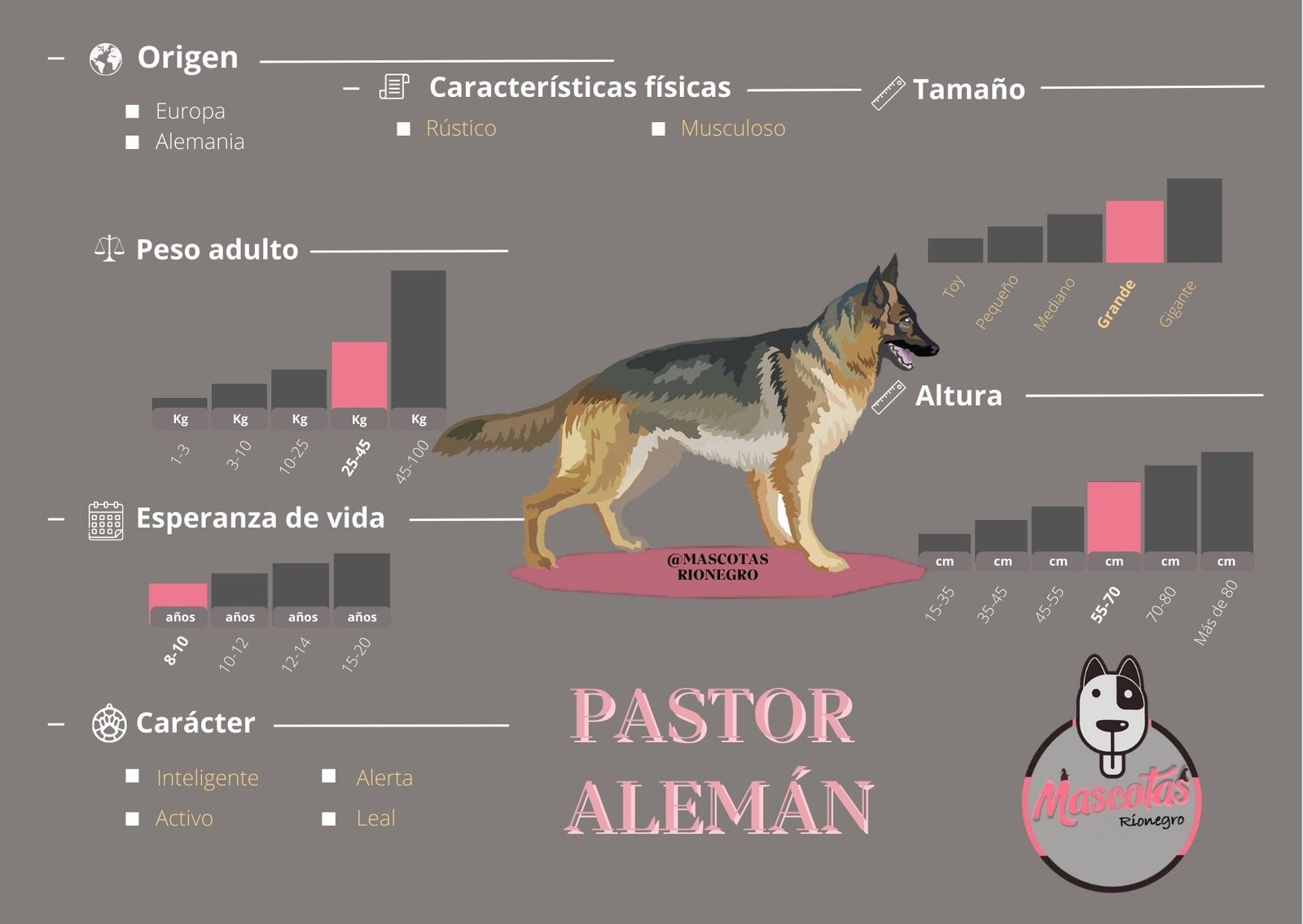 Pastor Belga