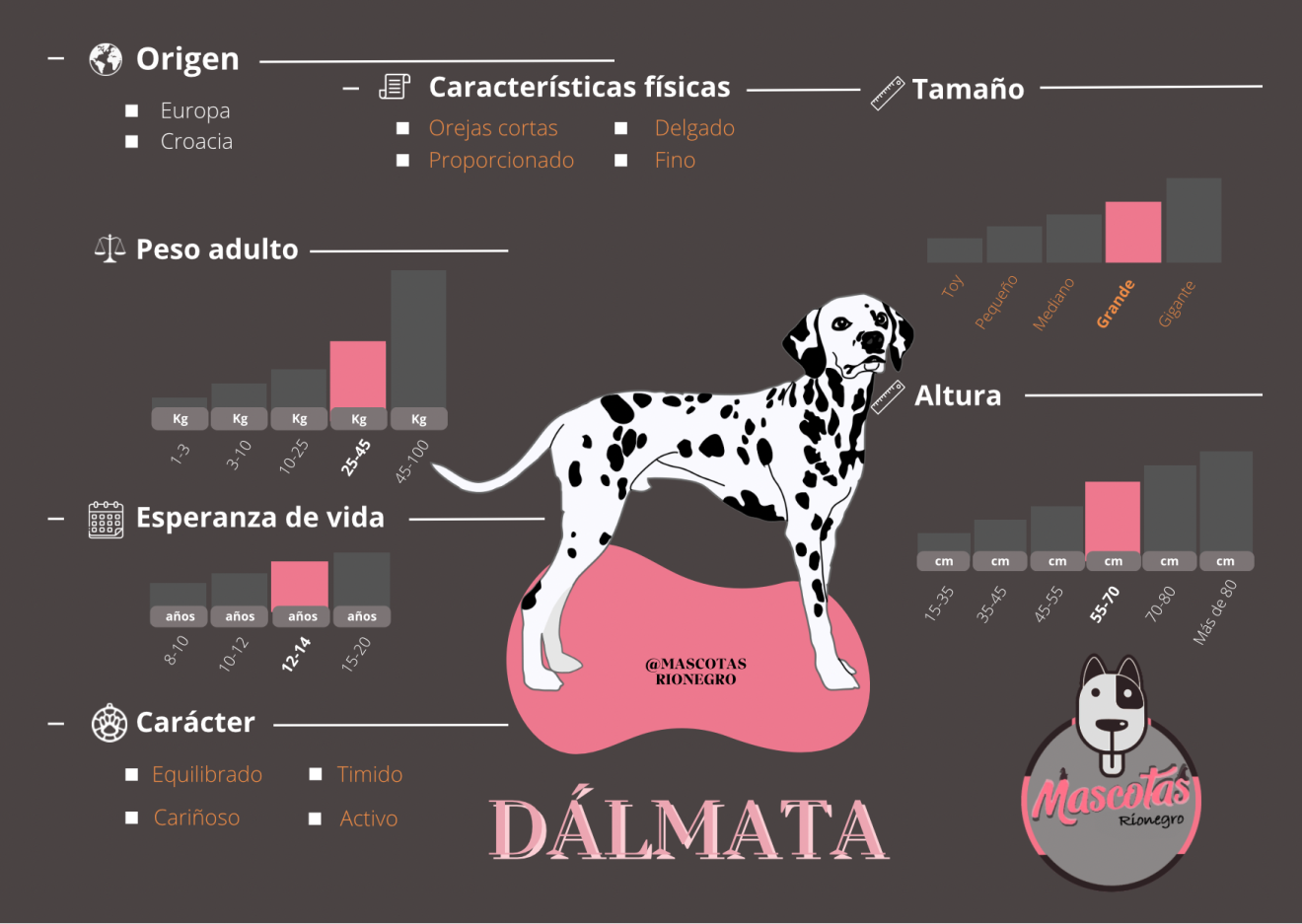 Dálmata