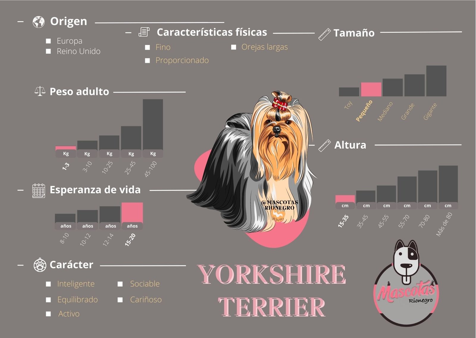 Yorkshire Terrier