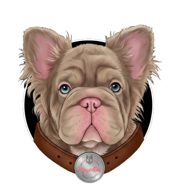Logo Venta de Cachorros