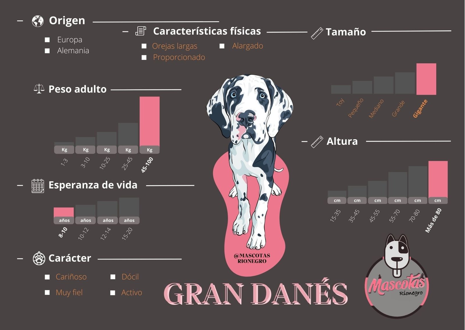 Gran Danés