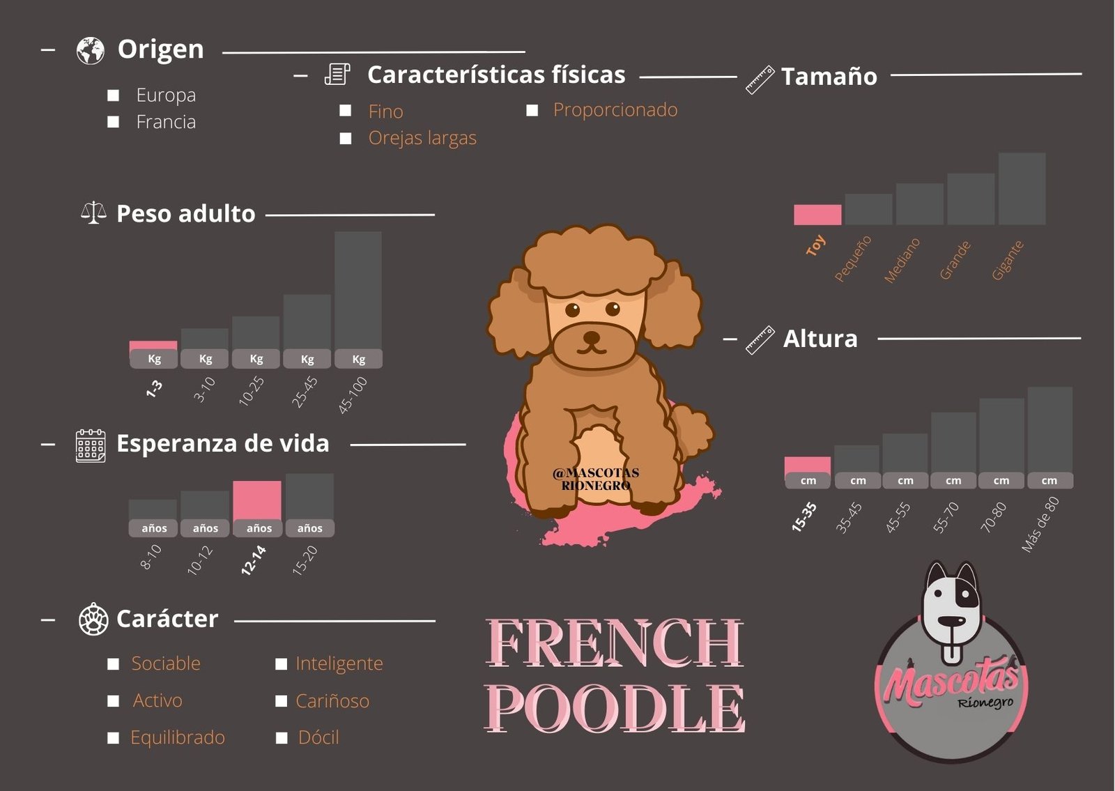 French Poodle Mini Toy