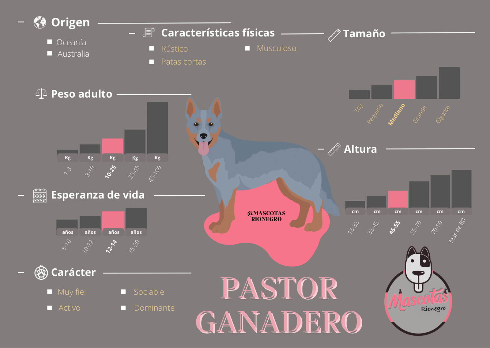 Pastor Ganadero Australiano