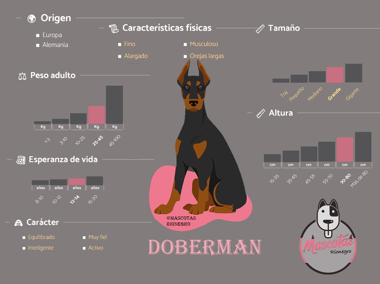 Dóberman