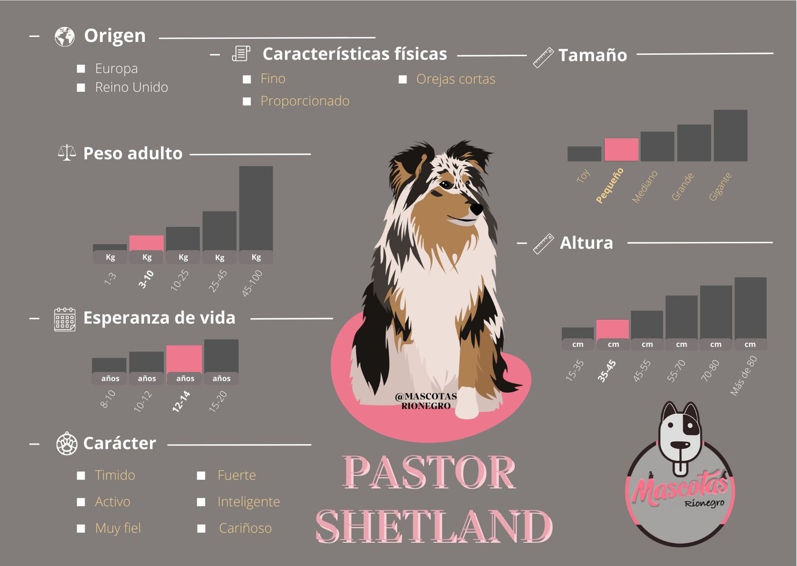 Pastor Shetland