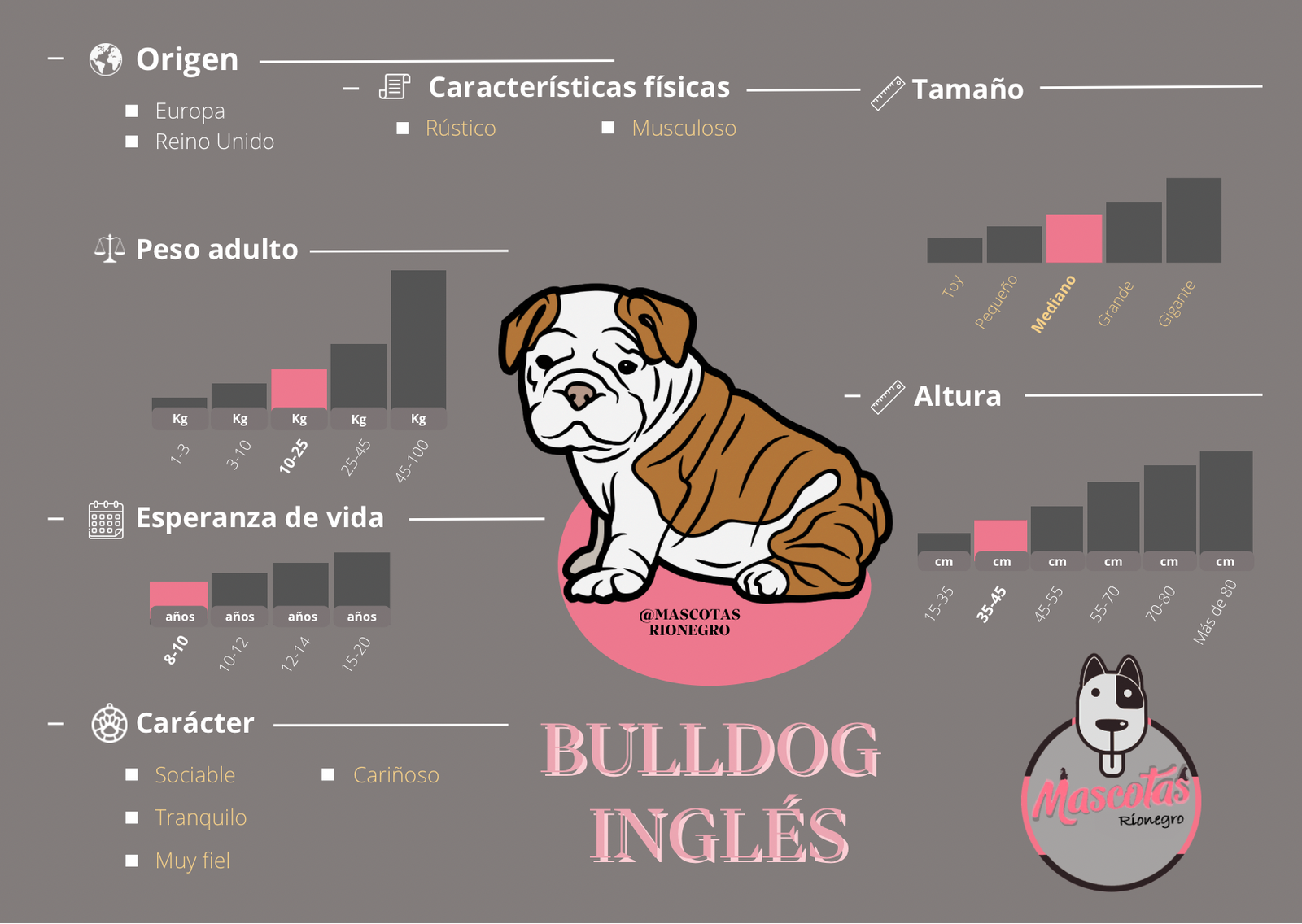 Bulldog Inglés