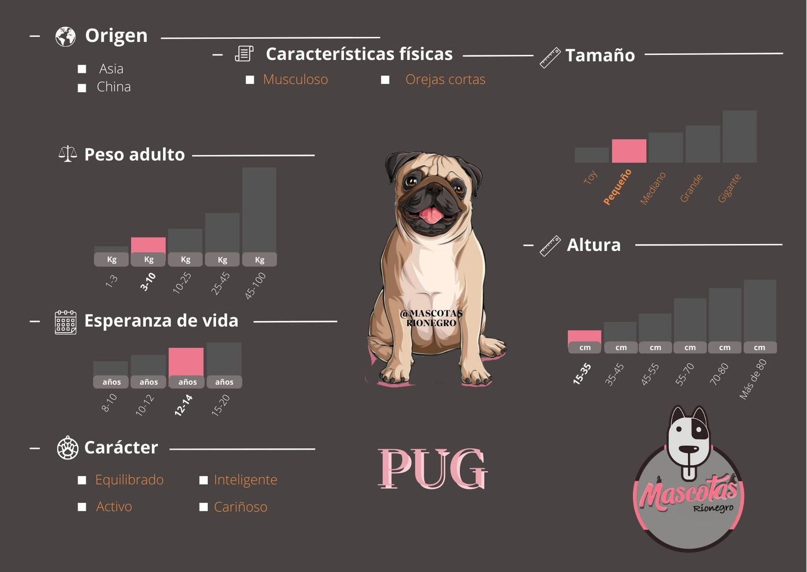 Pug