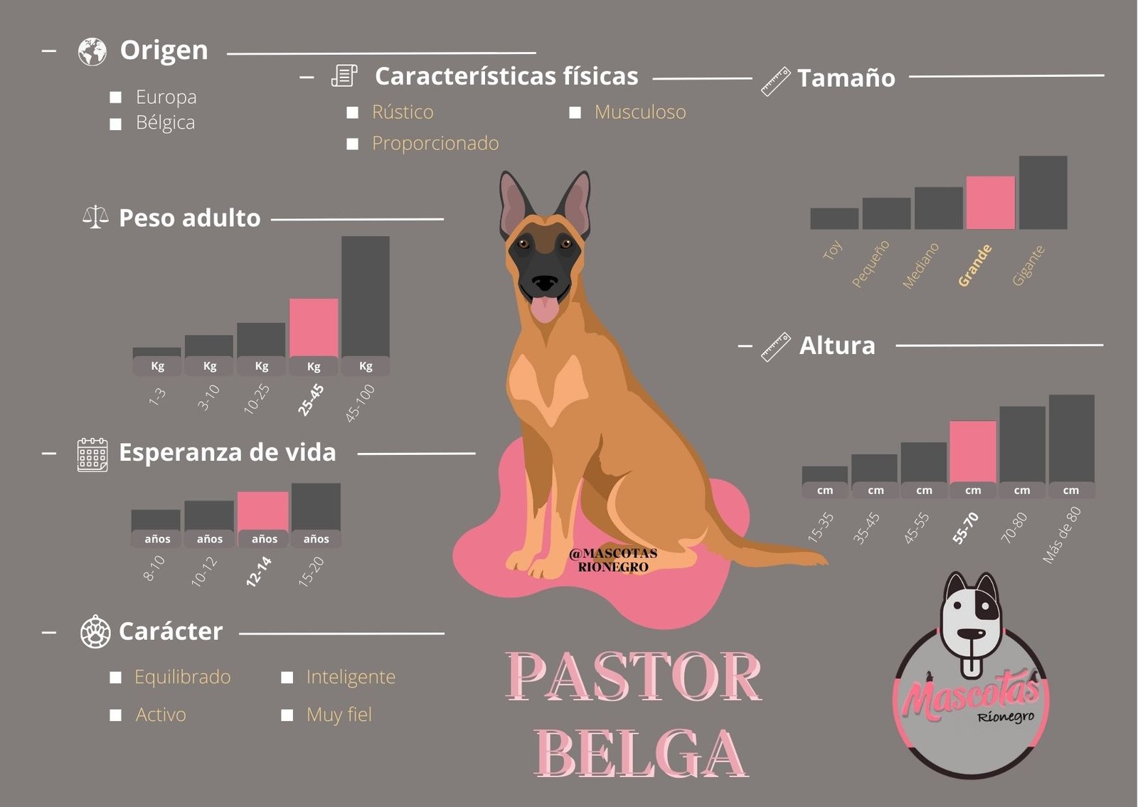 Pastor Alemán