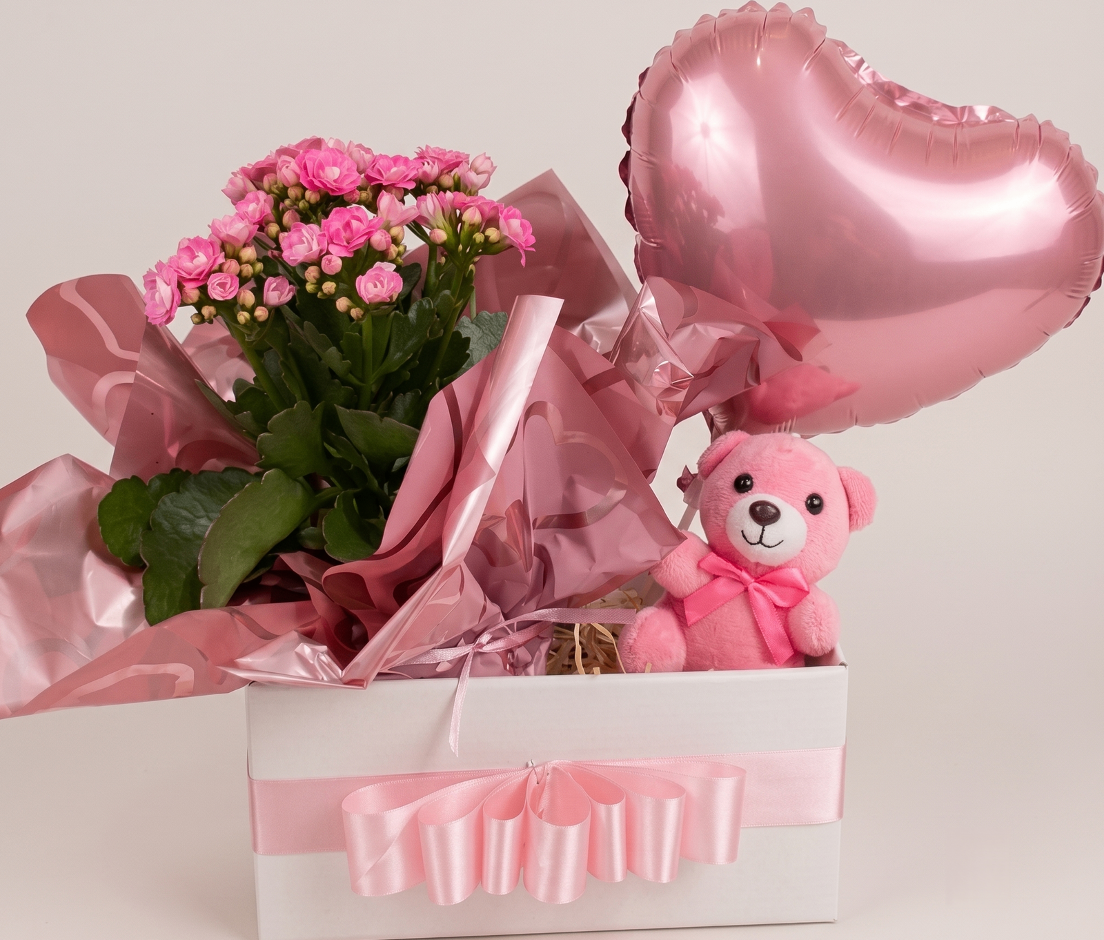 Kalanchoe rosa em caixa presente com ursinho e balão coração, Canto do Verde Campinas