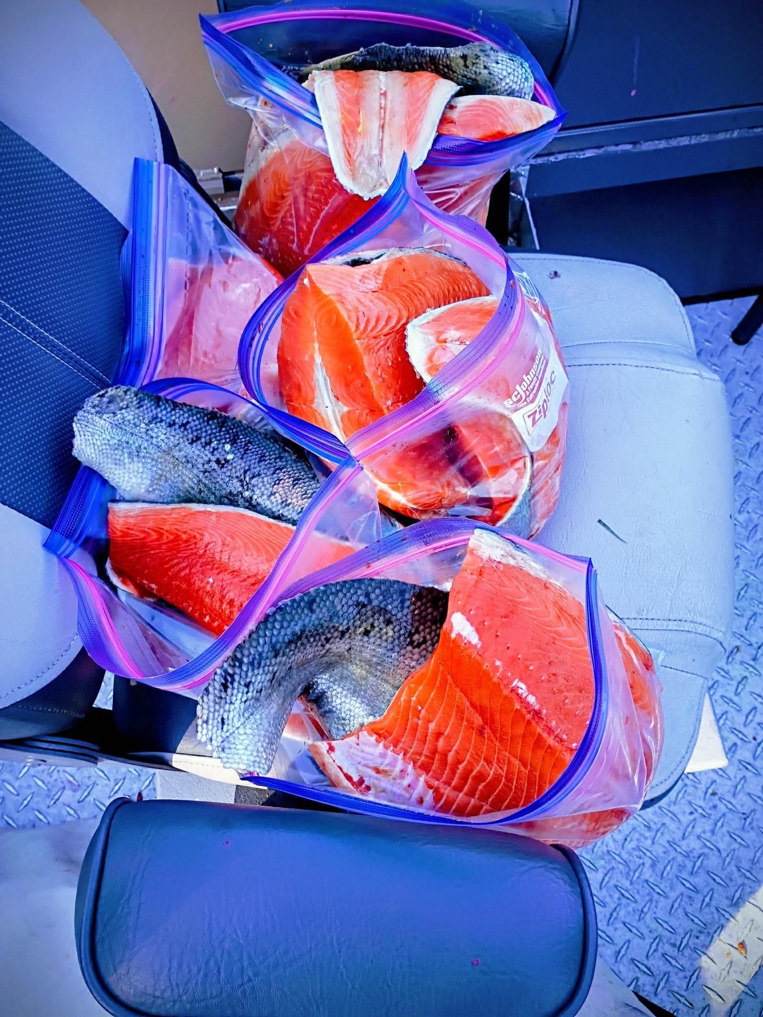 Packaged salmon ready to take home