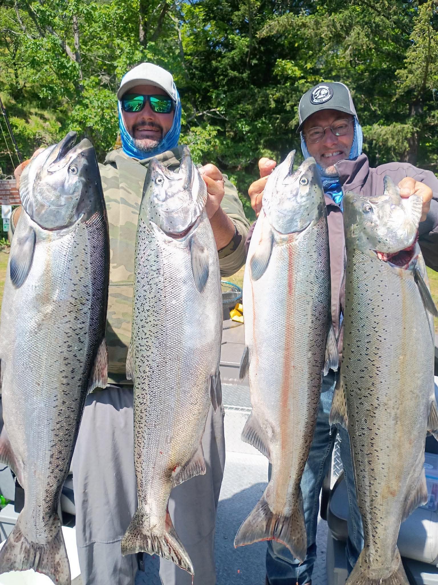 Chinook Salmon guided fishing with Fin Addict Sportfishing