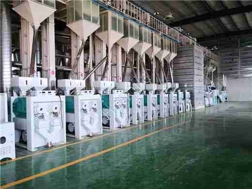 India Rice Factory Goodluck Group