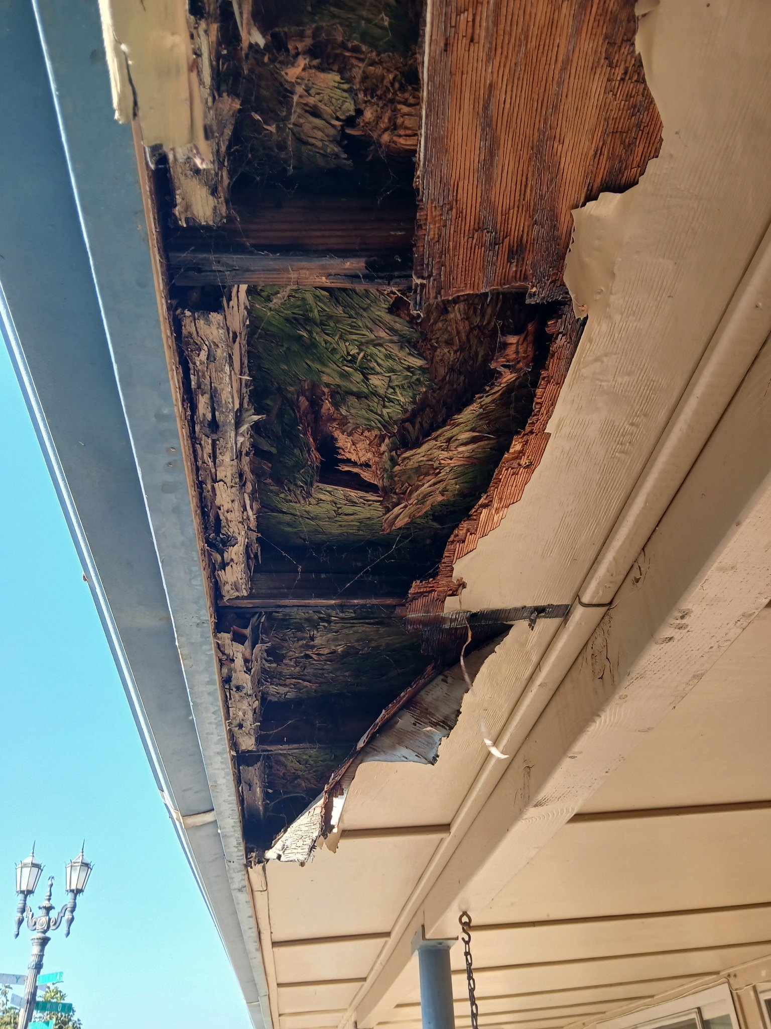 Roof Repair 3