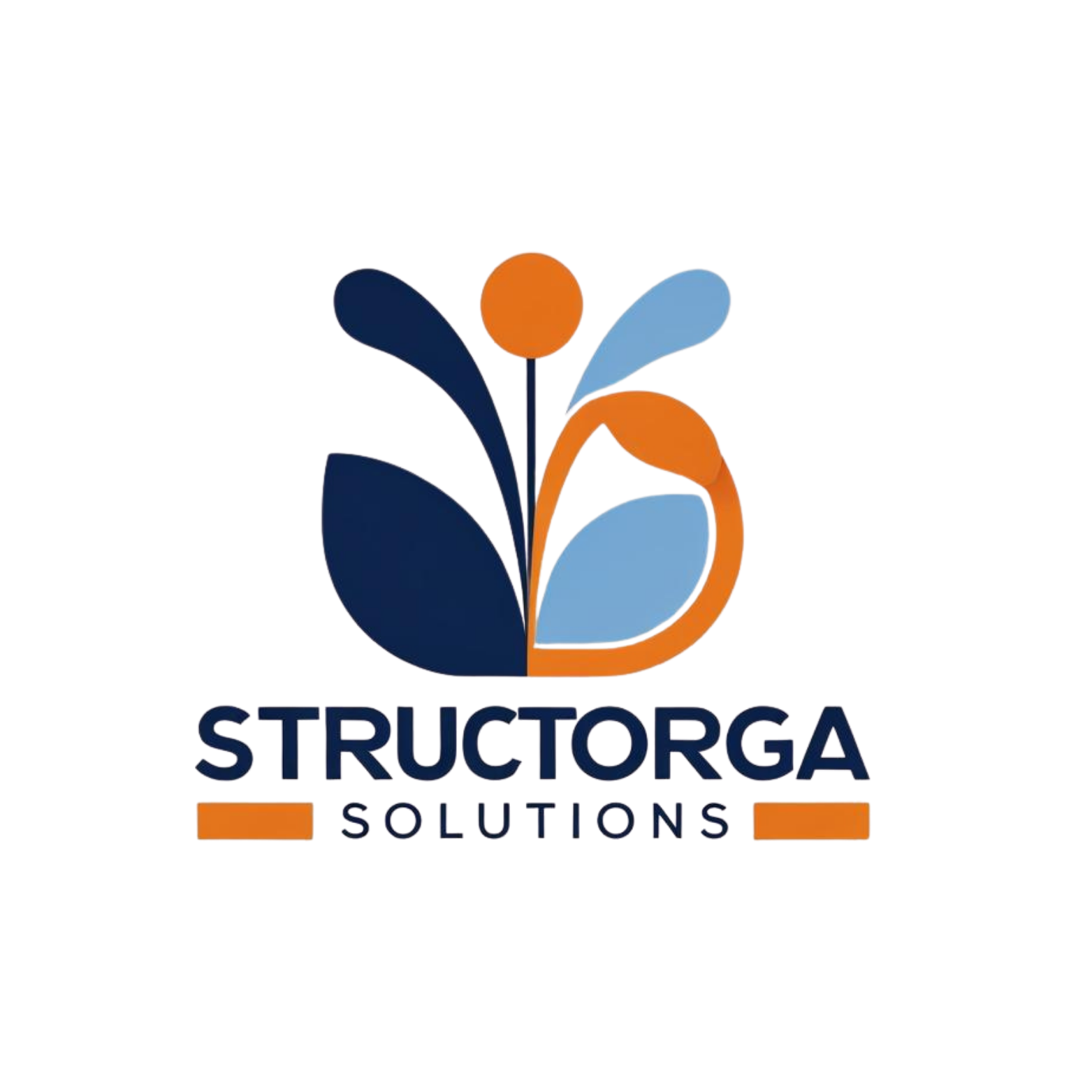 StructOrga Solutions